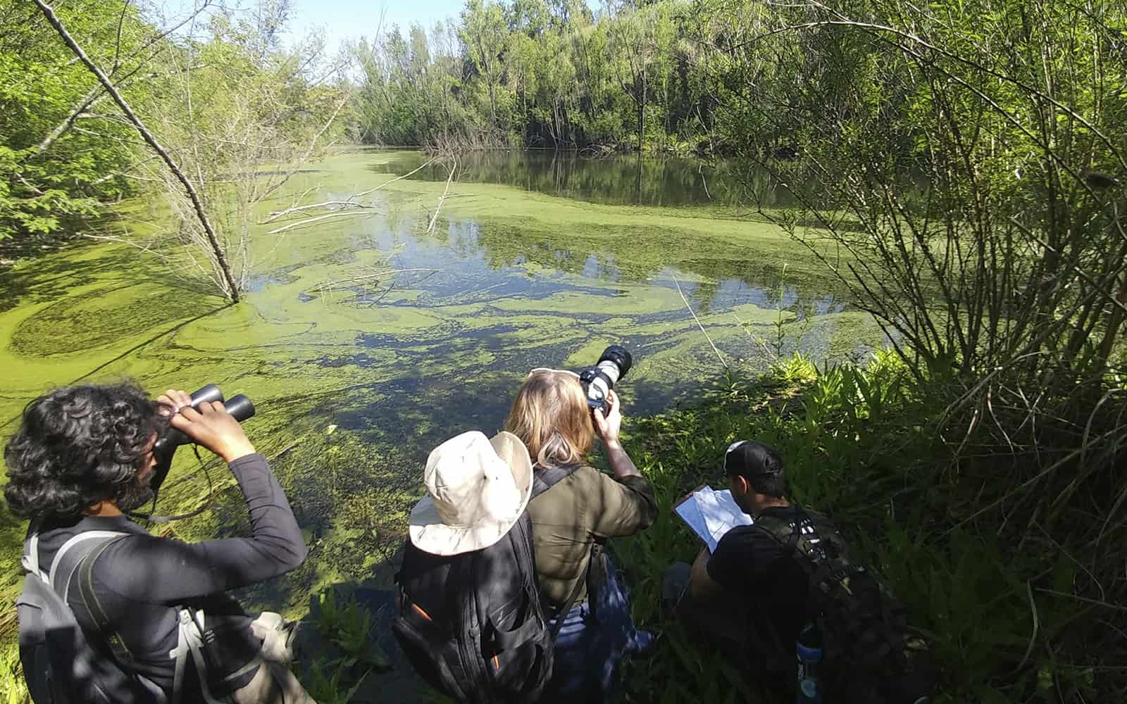 Ecoturismo y observación de aves en zonas rurales de Argentina